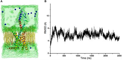 Conformation Transition of Intracellular Part of Glucagon Receptor in Complex With Agonist Glucagon by Conventional and Accelerated Molecular Dynamics Simulations